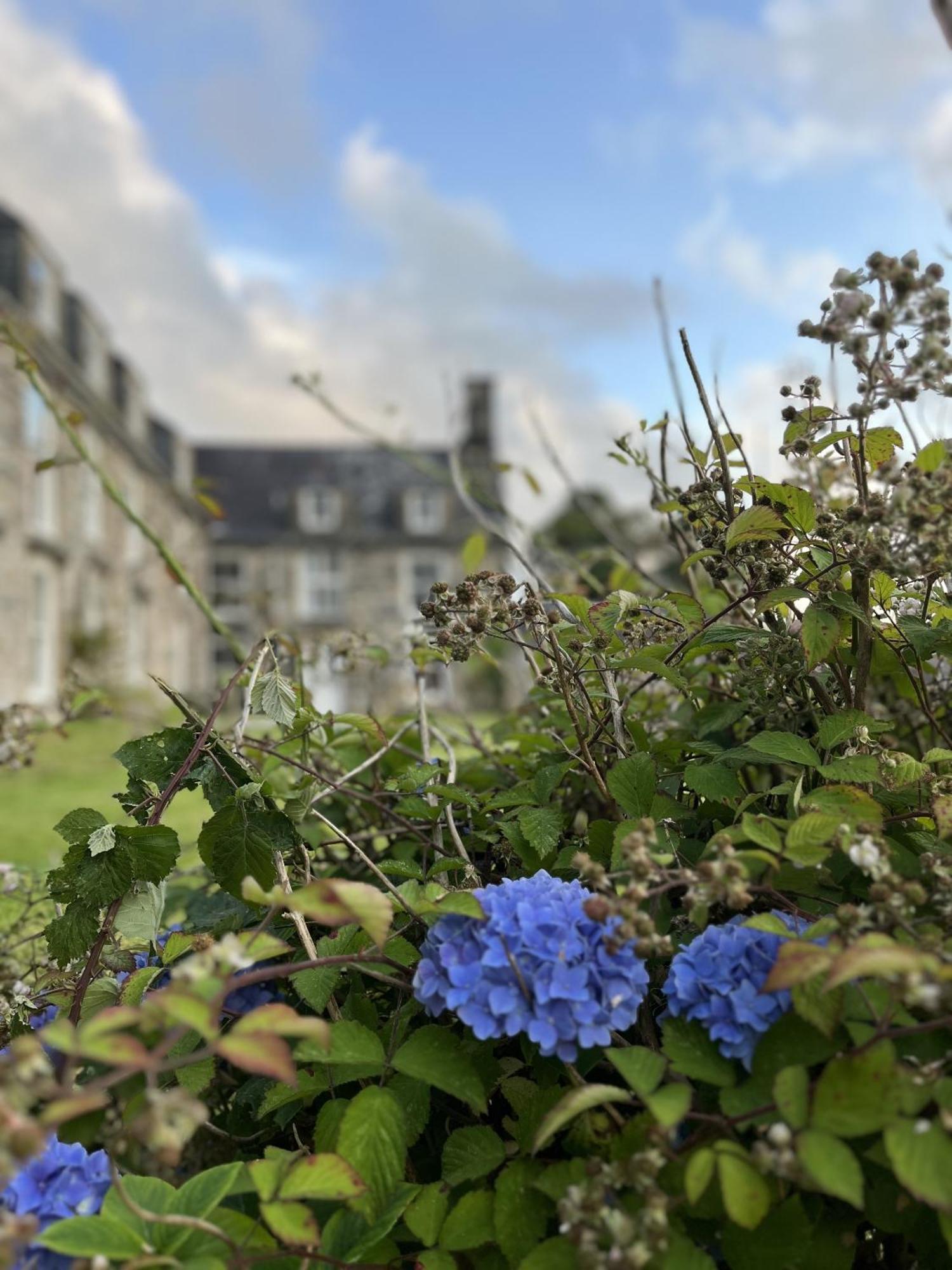 Maes Y Neuadd Talsarnau Kamer foto
